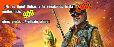 La mejor experiencia en betamo